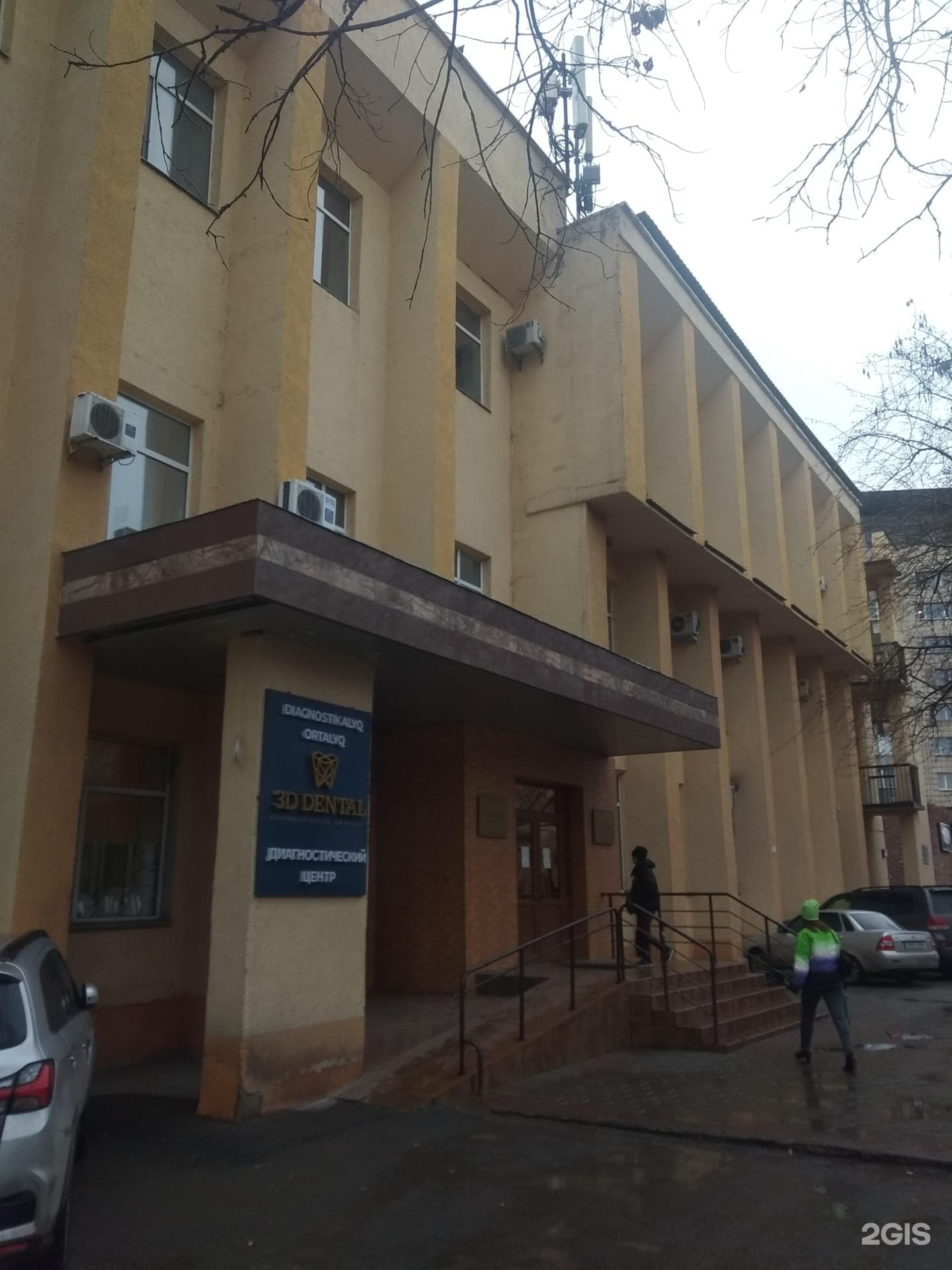 Lia Dent, торговая компания