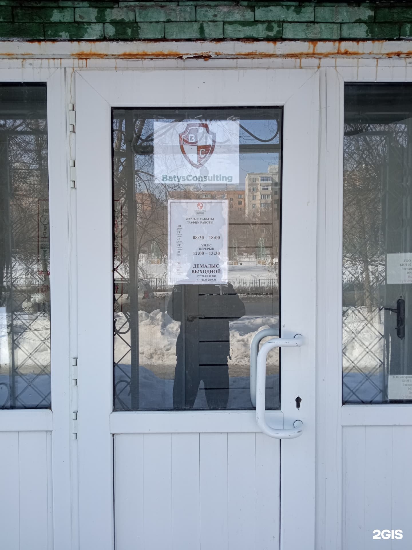 Batys Consulting, компания