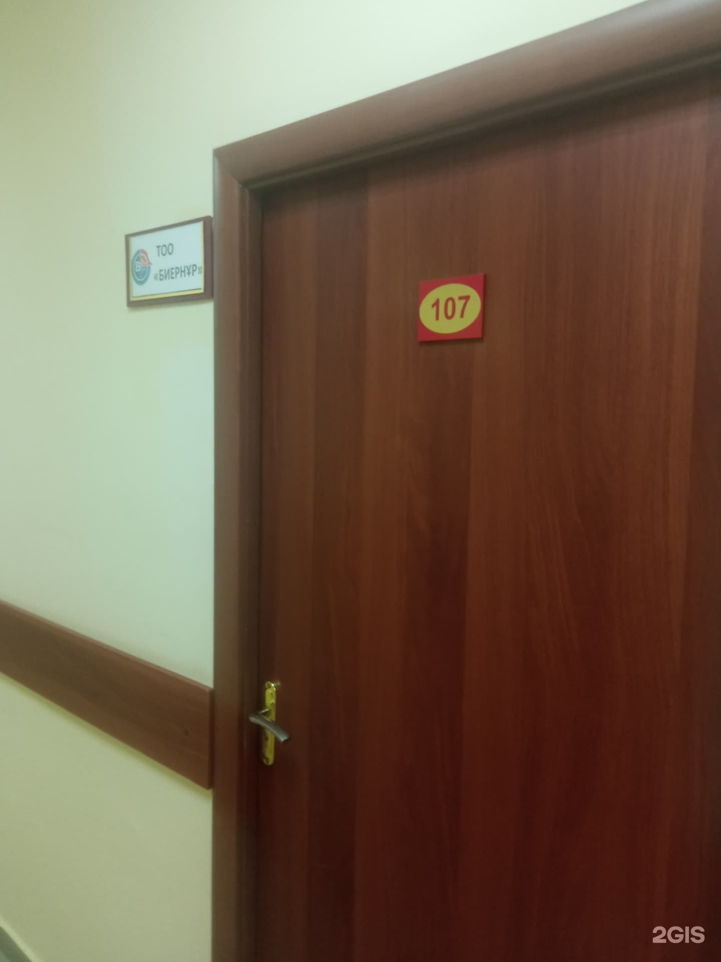 Биенұр, компания - фото 8