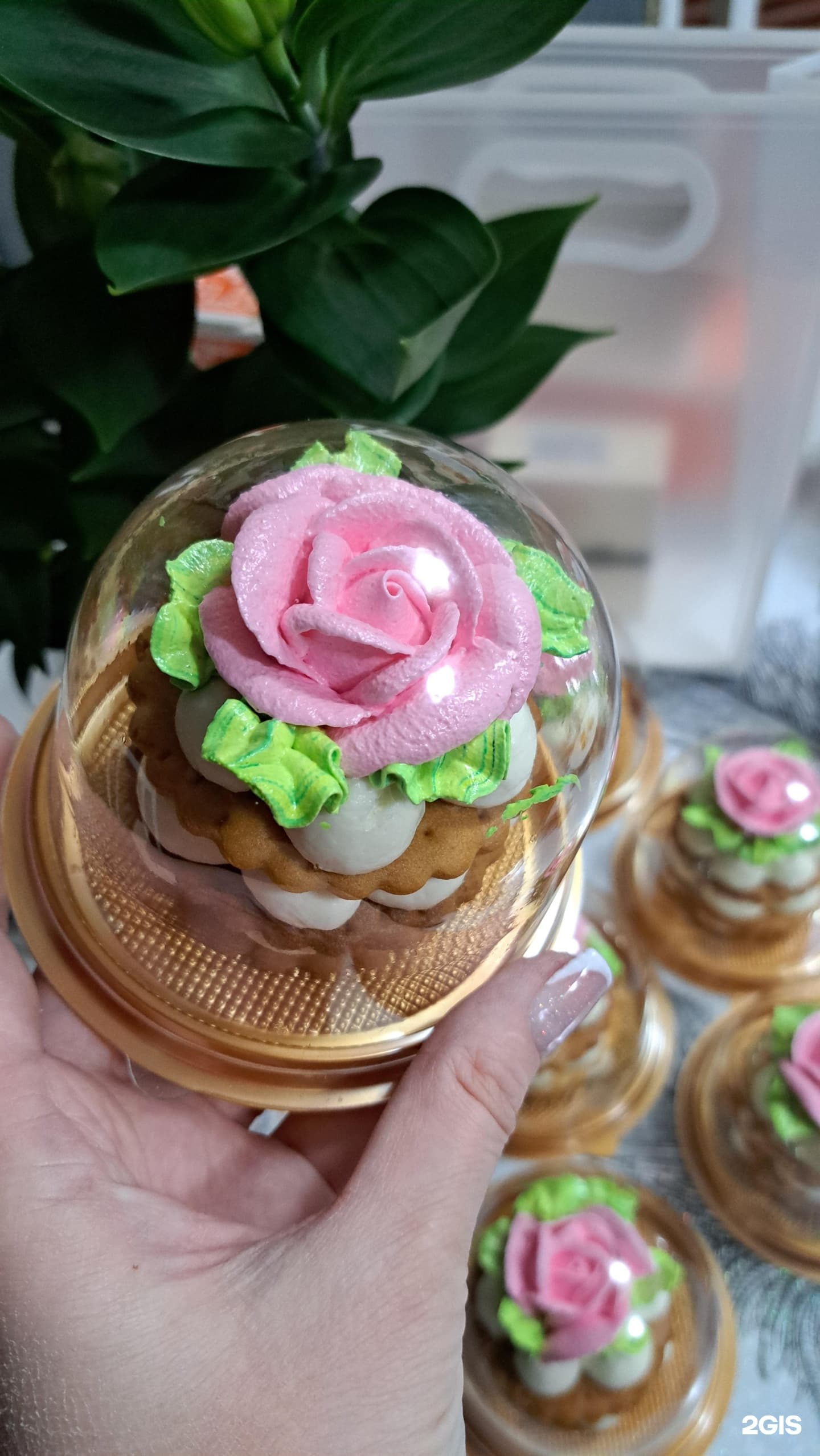 Valensiya, ​кондитерская студия